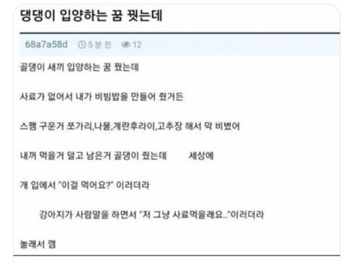 댕댕에 입양하는 꿈 꿨는데