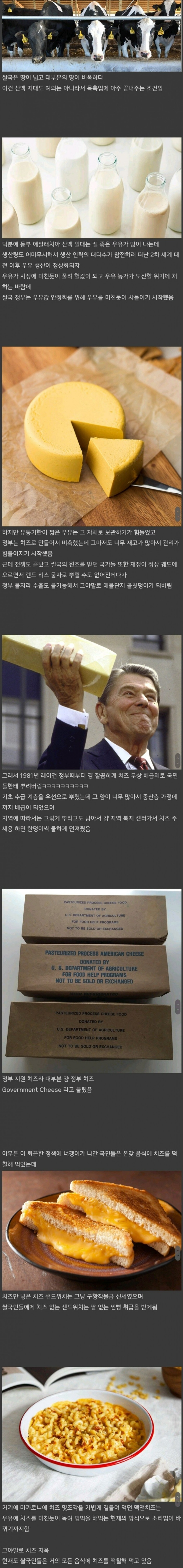 미국이 치즈에 미쳐버린 이유