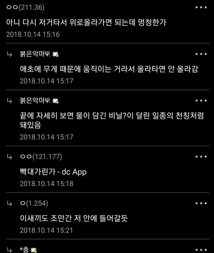 비둘기 함정의 댓글.