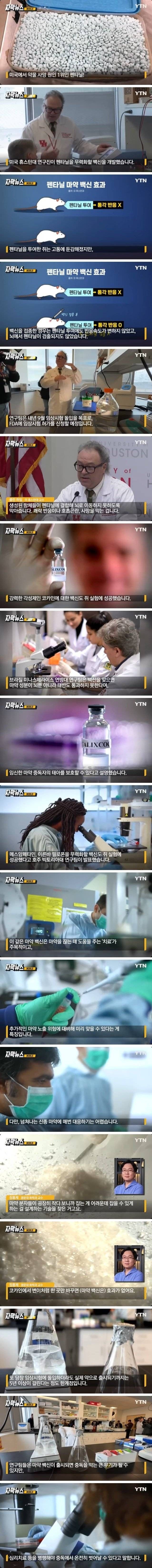 펜타닐 백신 개발