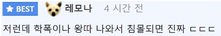 아이돌 키울 때 들어간다는 돈