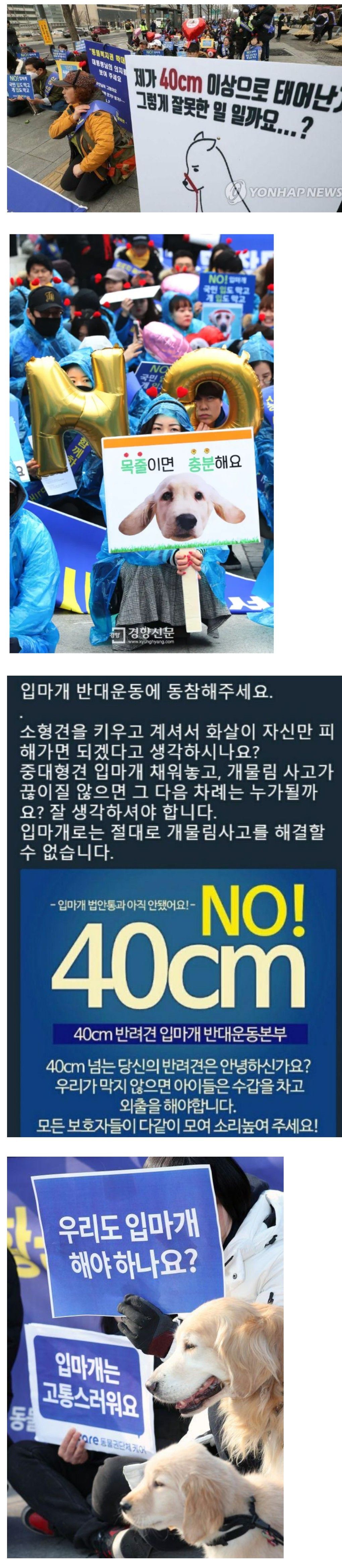 입마개 반대 운동 수준...