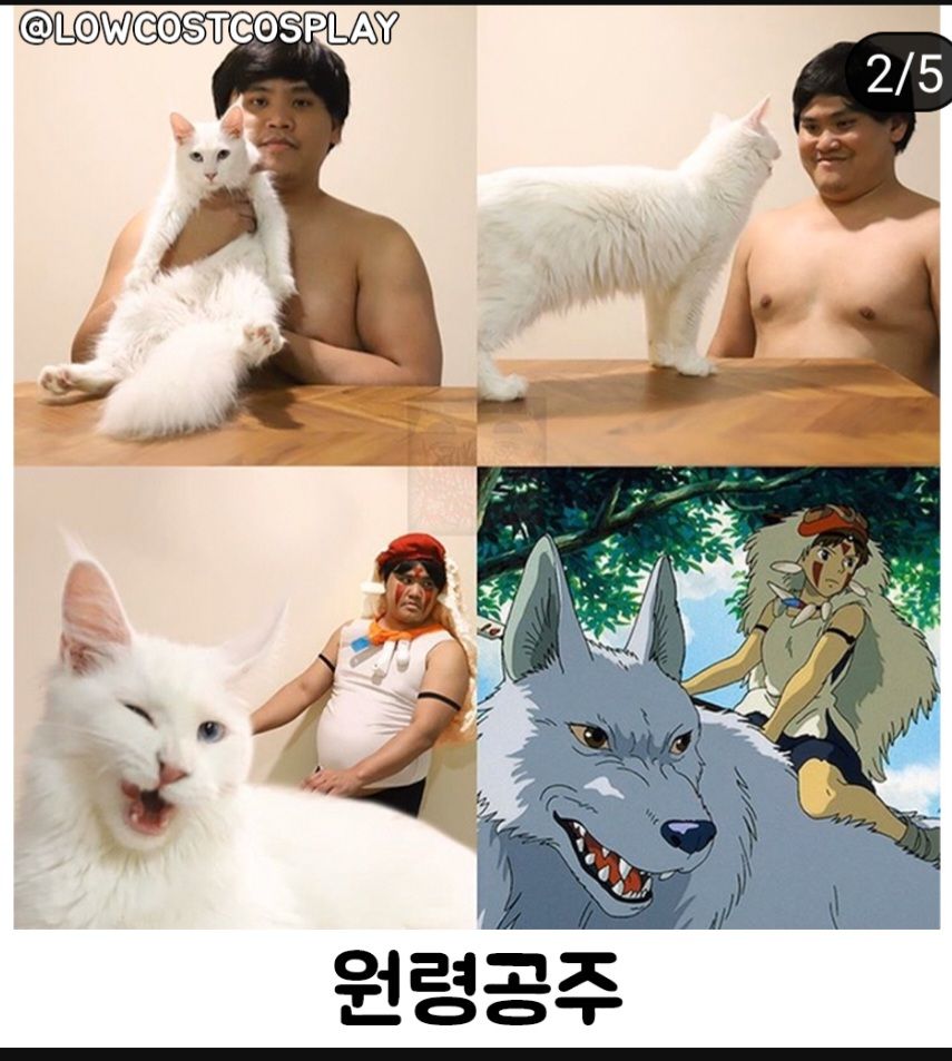 고양이 저가 코스프레