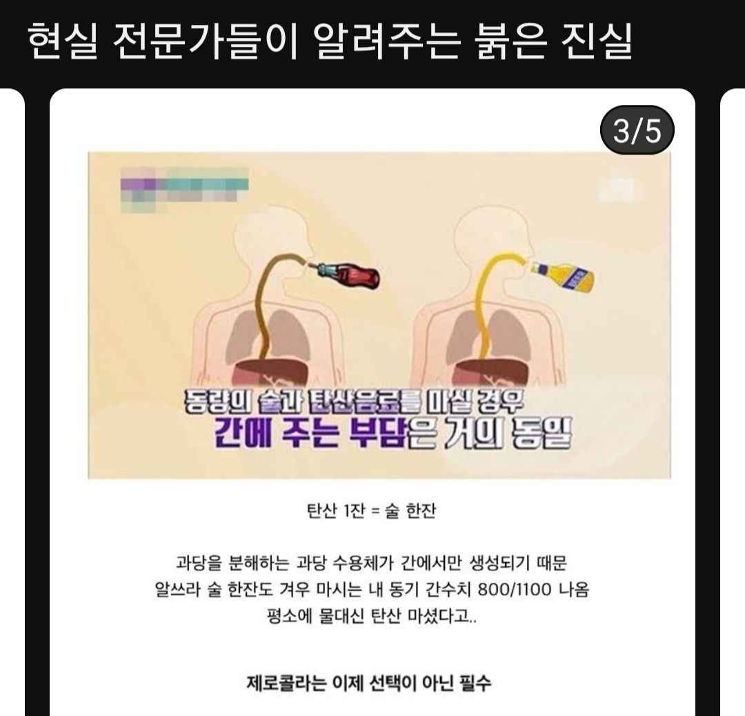 탄산과 술