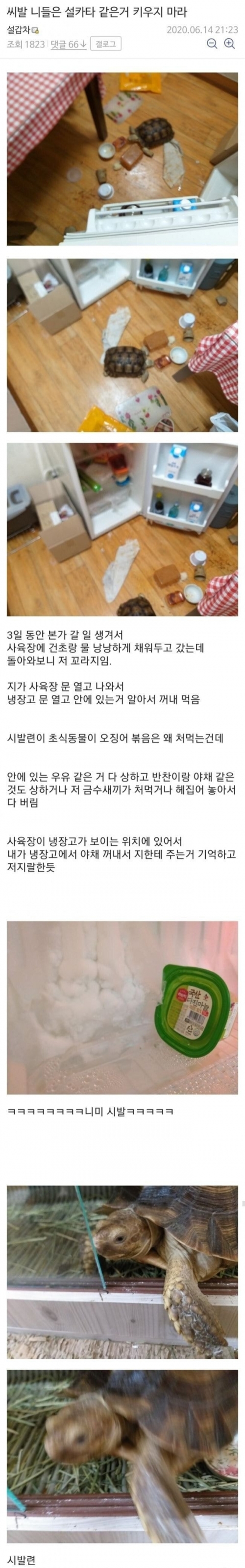 키우는 거북이한테 냉장고 털린 썰