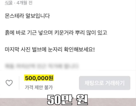 명절에 본가 내려가서 찾으면 대박나는 것