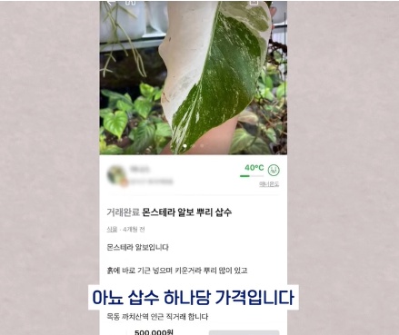 명절에 본가 내려가서 찾으면 대박나는 것