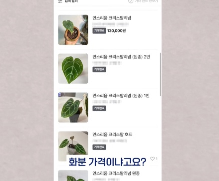 명절에 본가 내려가서 찾으면 대박나는 것