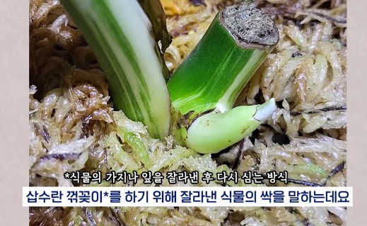 명절에 본가 내려가서 찾으면 대박나는 것