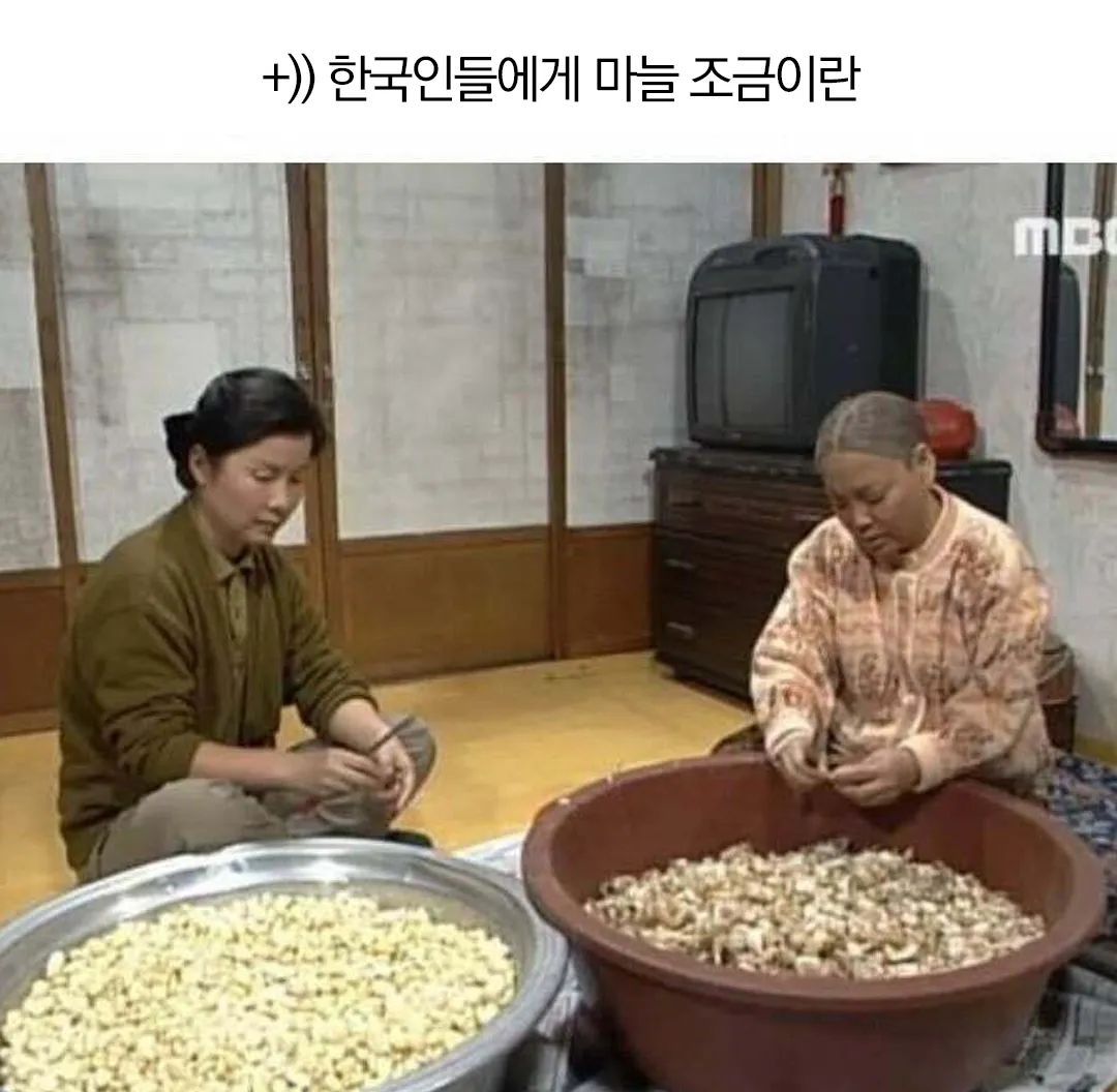 마늘에 진심인 나라