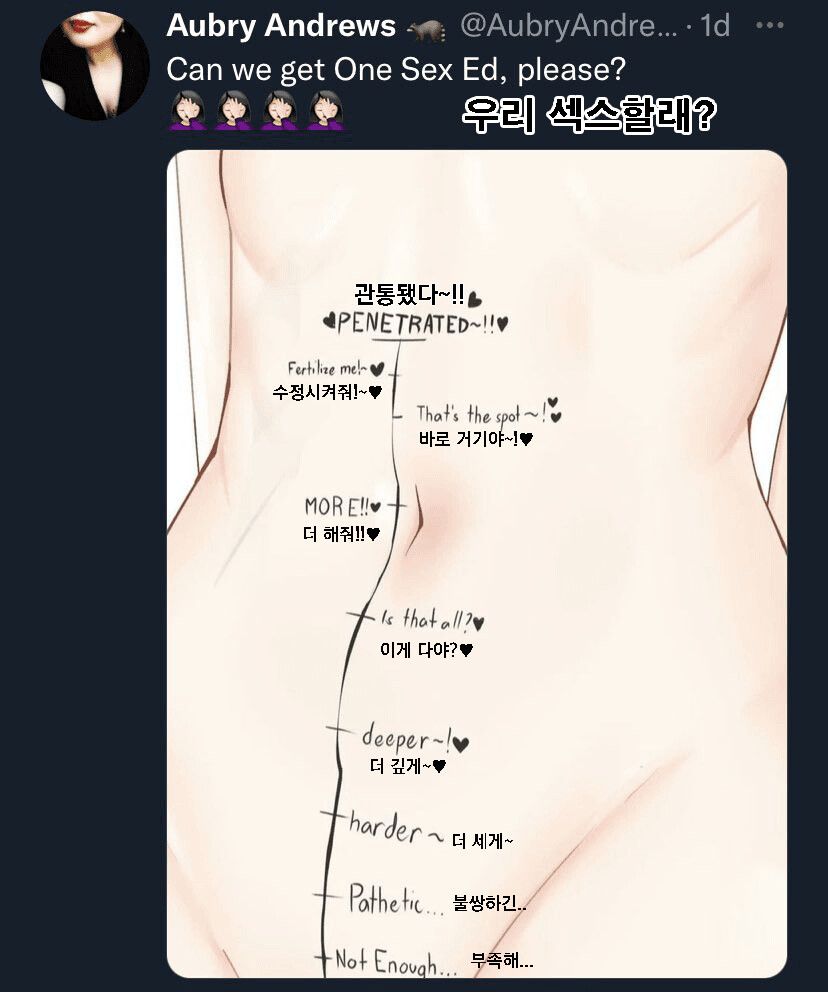 의사들의 관점