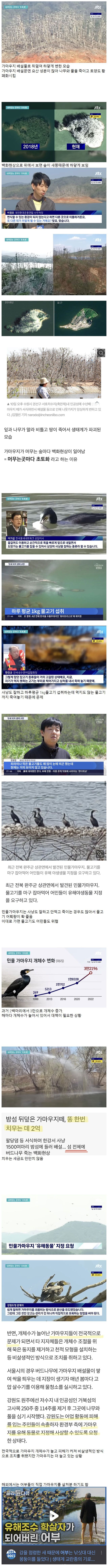 현재 한국 생태계 파괴시키고 있는 빌런 새