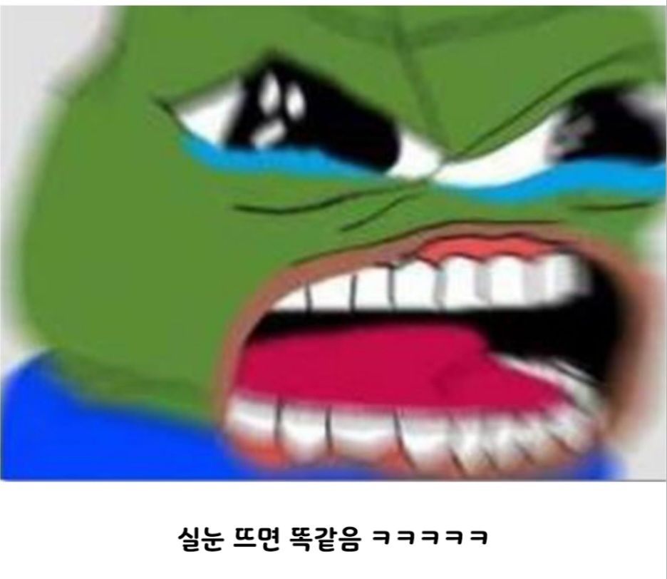 보인다 보인다 뭔가 보인다