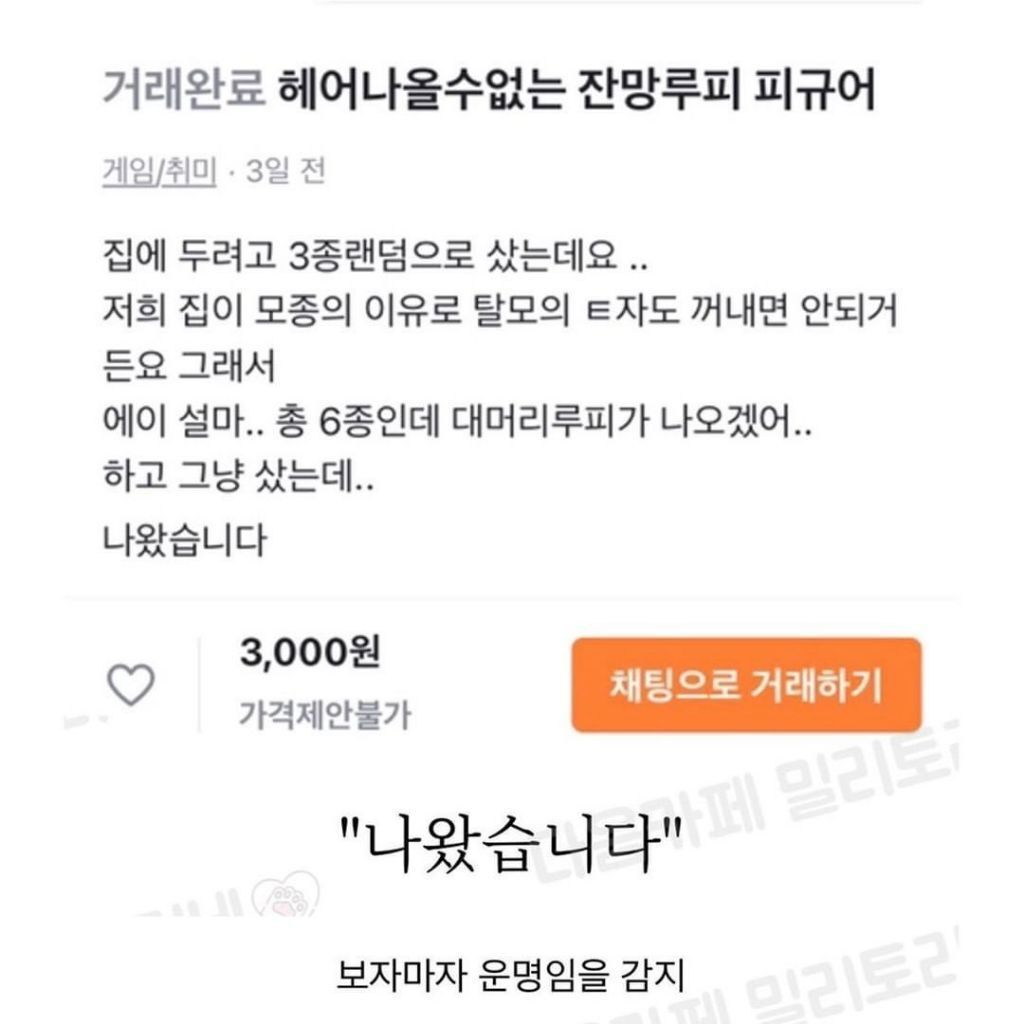 당근마켓 피규어 거래 후기