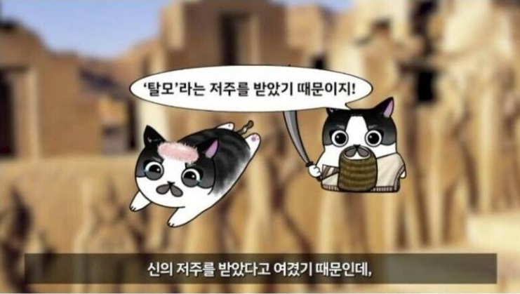 대머리가 죽을 죄냐고!!