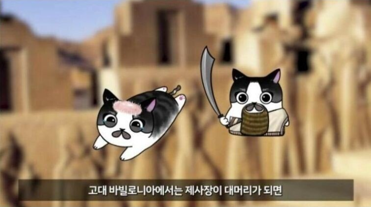 대머리가 죽을 죄냐고!!