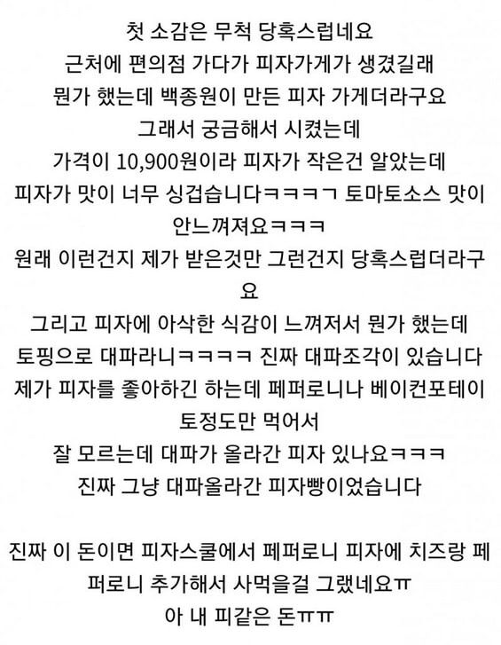 백종원 피자 후기