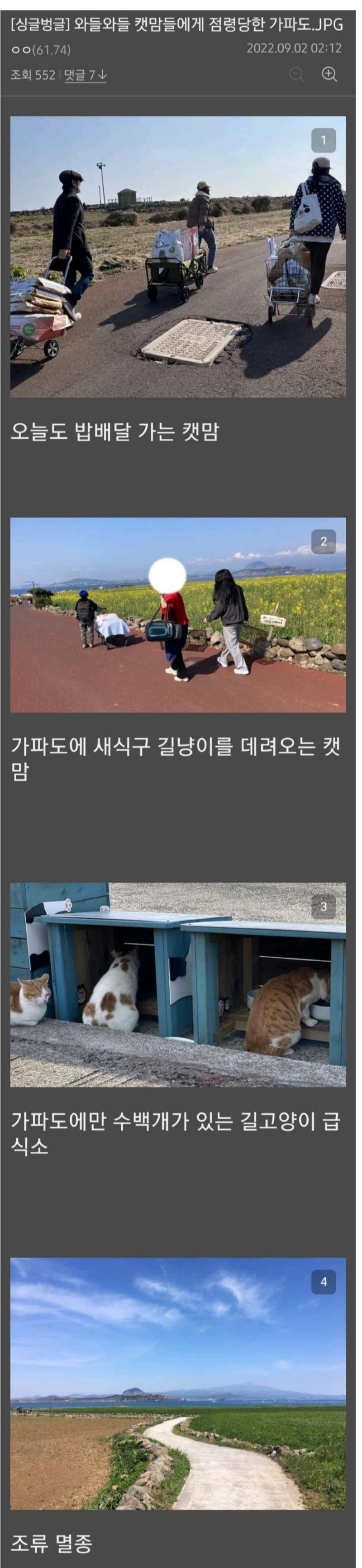 고양이에게 점령당한 가파도