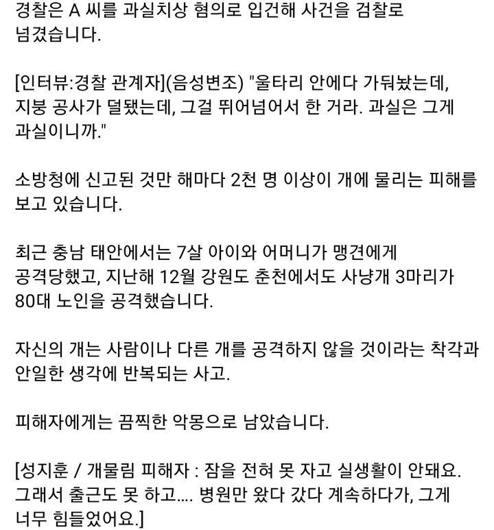 반려견과 신혼여행 왔다가 보더콜리한테 물린 부부.