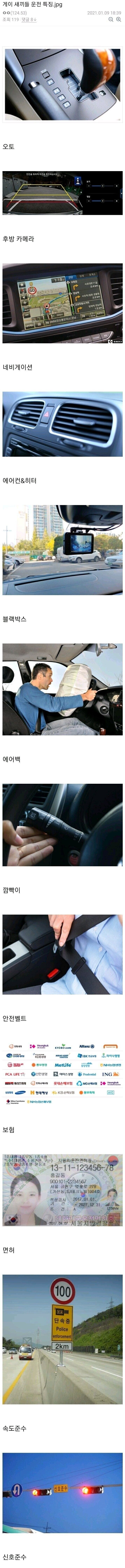 게이들의 운전 특징