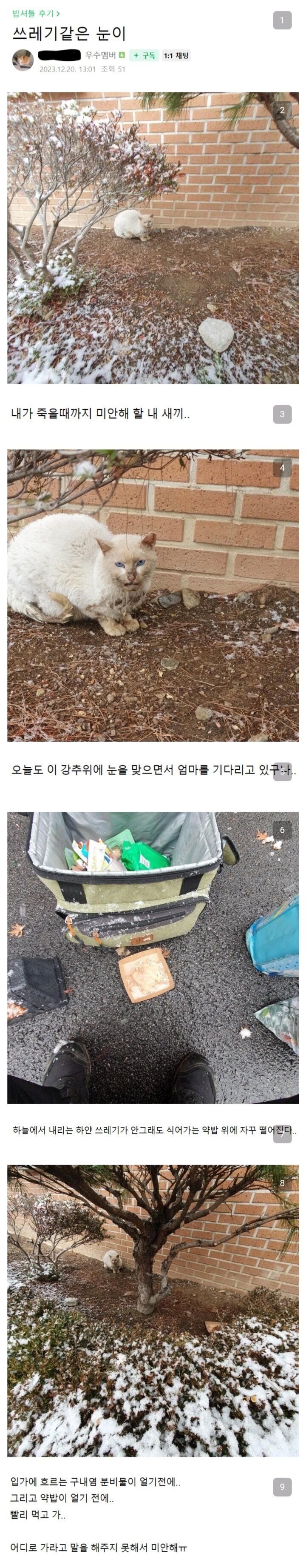 하늘에서 쓰레기 같은 눈이.. 엄마가 미안해