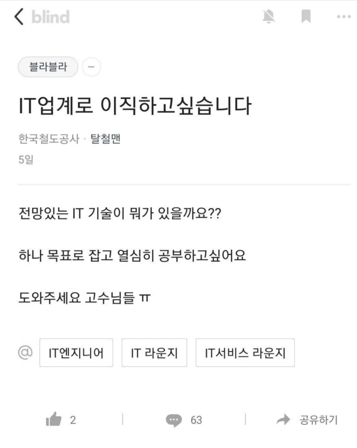 It업계 현직자의 충고