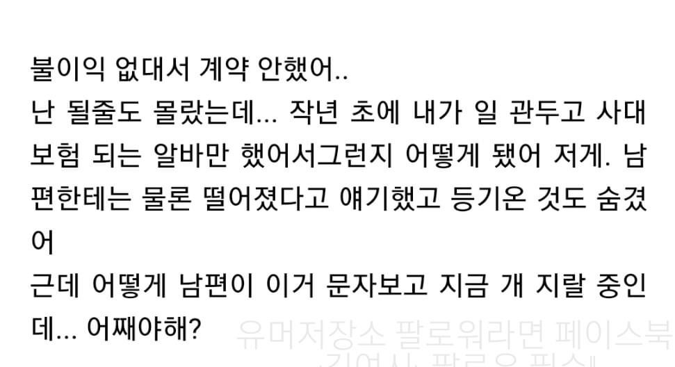 임대주택 담첨 사실을 숨긴 여시