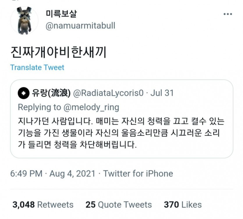 매미의 숨은 기능.