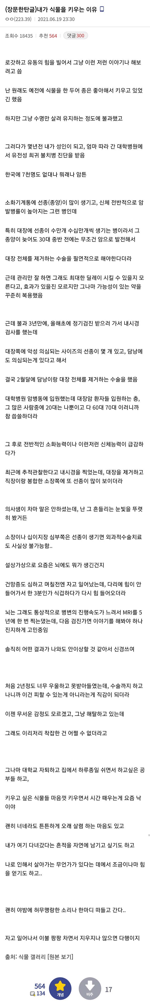 식물을 기르는 이유