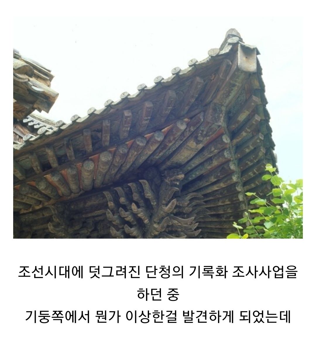 기둥 위에...