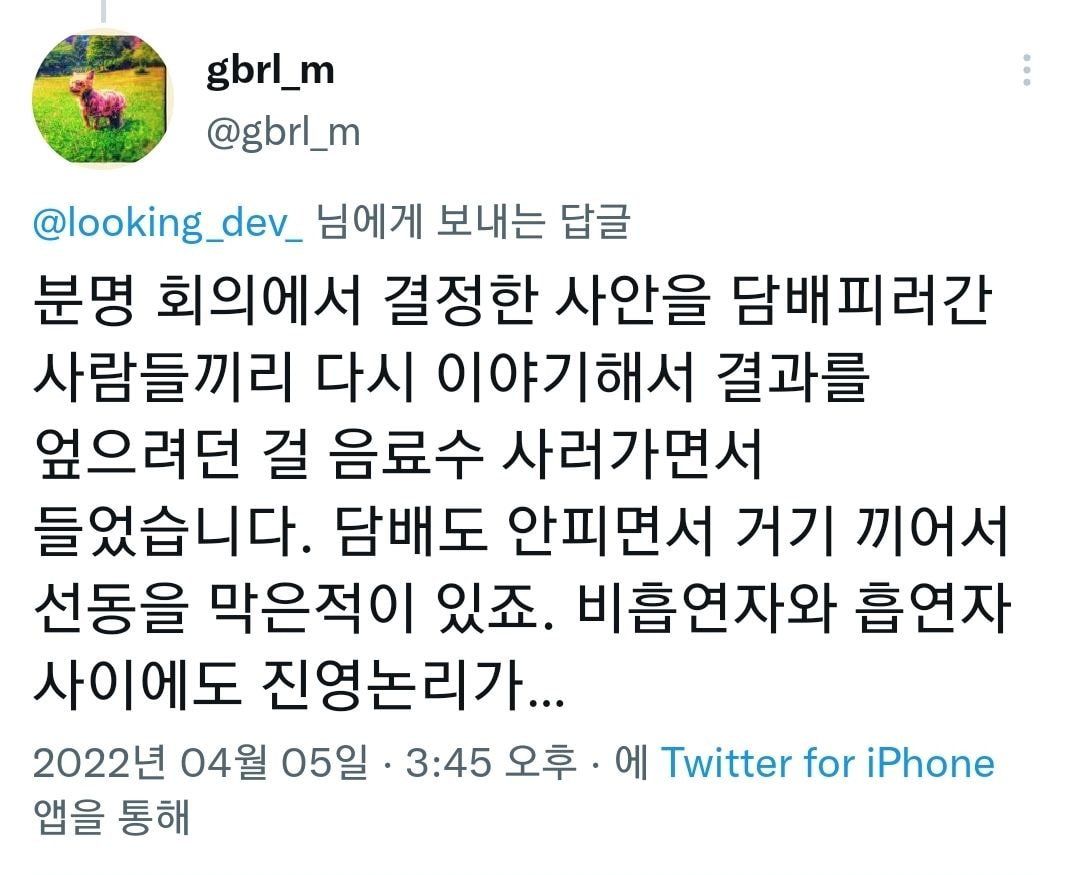 스타트업은 체계가 없다는데, 무슨 체계가 없다는 건가요?