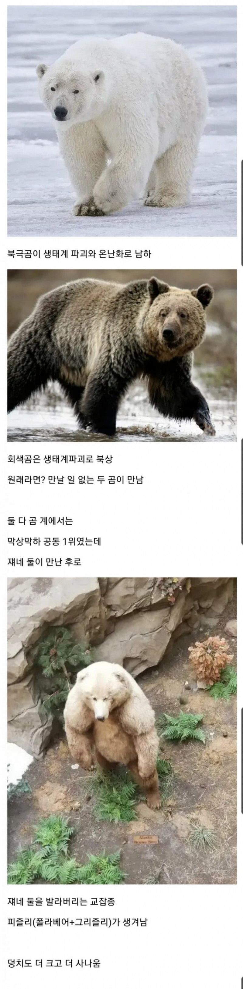 지구온난화 때문에 탄생한 괴생물.