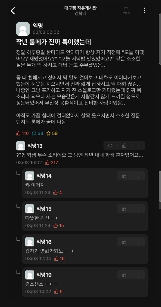 몽환적이고 신비한 룸메이트