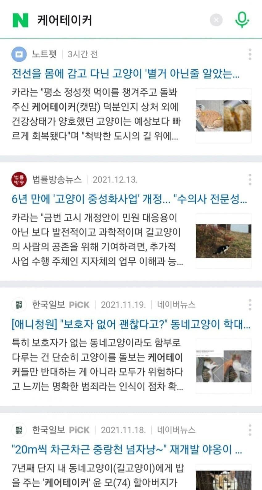 캣맘에 대한 인식이 나빠지자 그분들이 밀고 있는 신조어