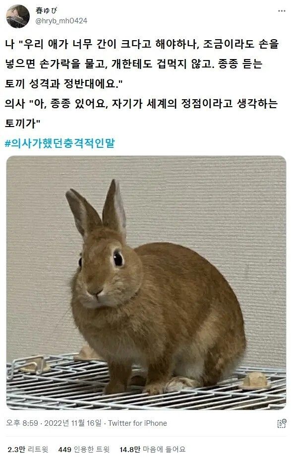 의사에게 들었던 충격적 말들