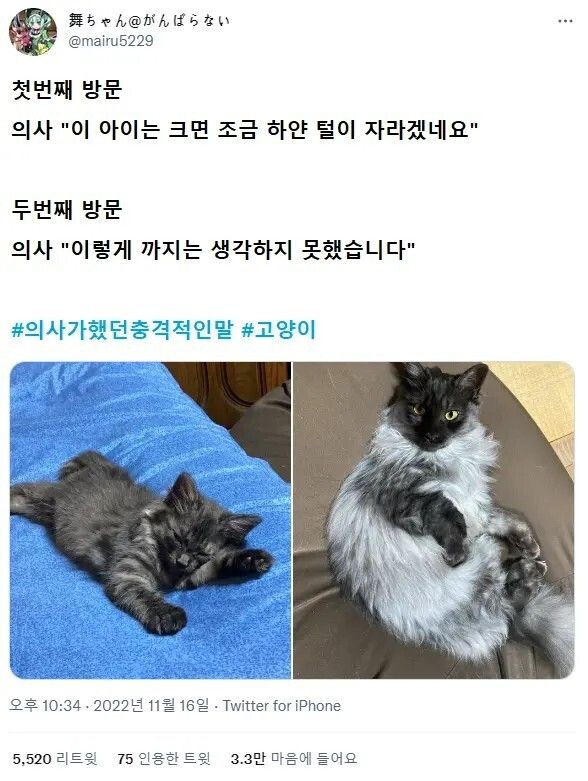 의사에게 들었던 충격적 말들