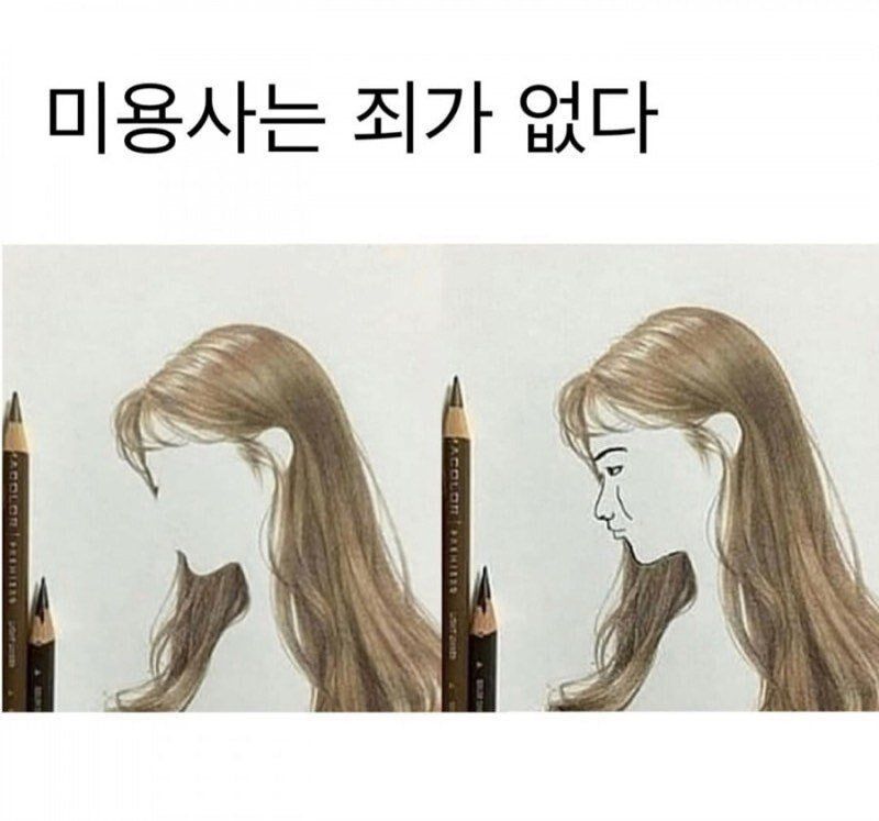 미용사는 죄가 없다