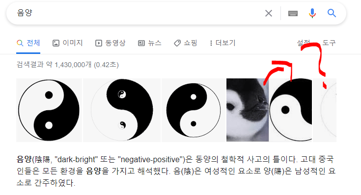 구글이 인정한 음과 양