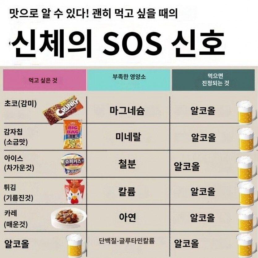 몸에서 영양소 부족 호소 신호시 대체 완벽 식품