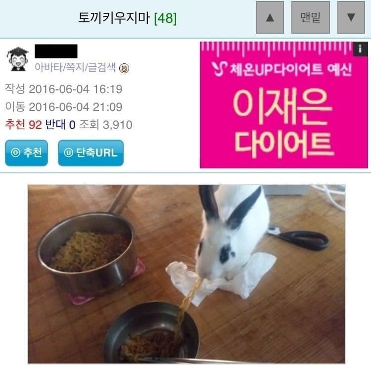 토끼 키우지마라고 한 사람.