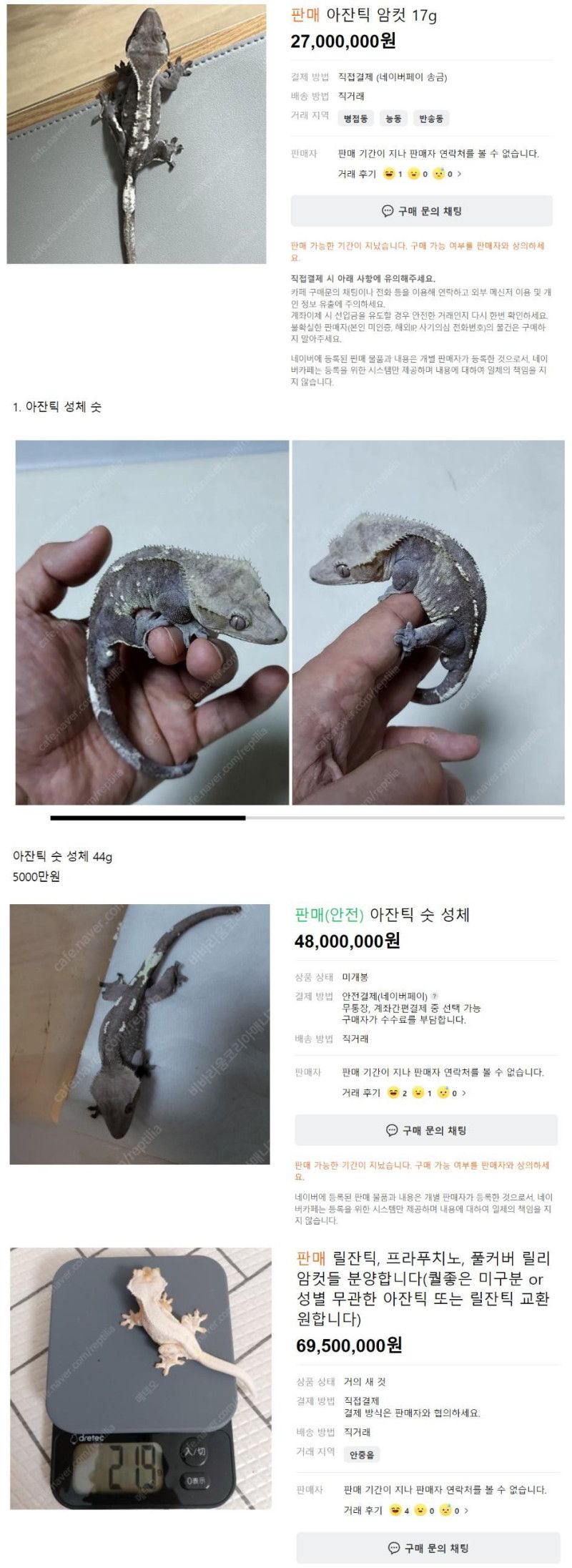 고가의 애완동물