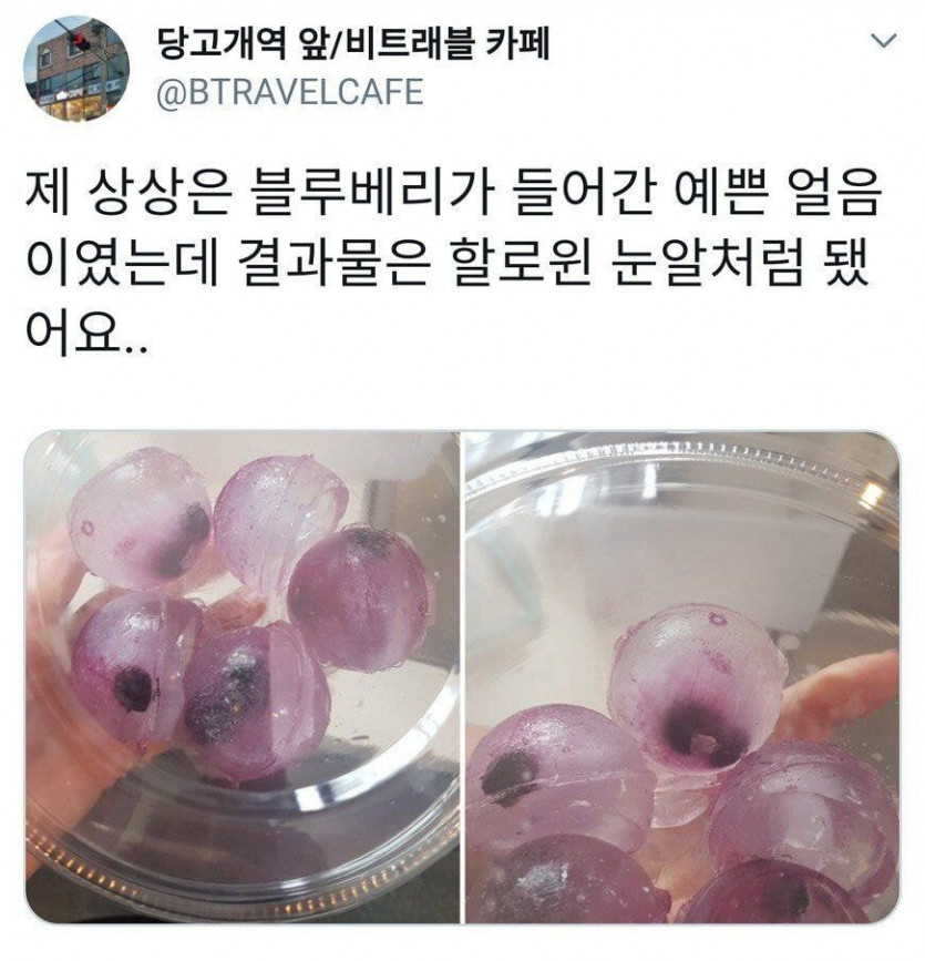 블루베리가 들어간 예쁜 얼음.