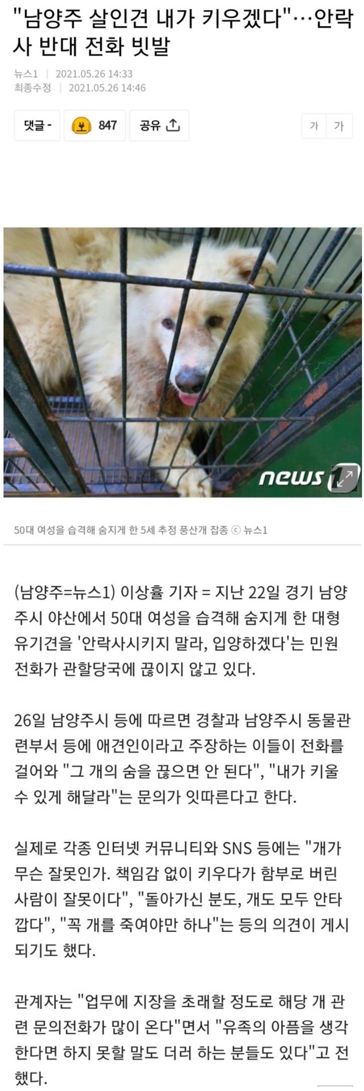 남양주에서 사람 물어죽인 개 근황