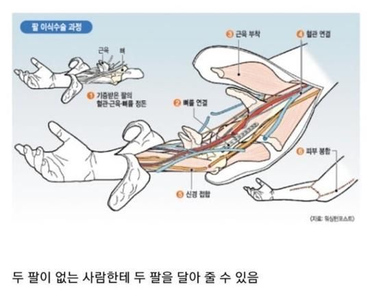 현대의학의 수준