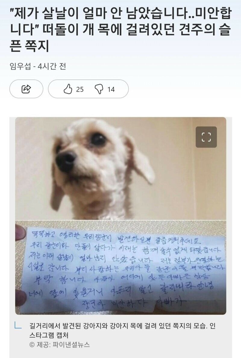 떠돌이 개 목에 걸려있던 쪽지