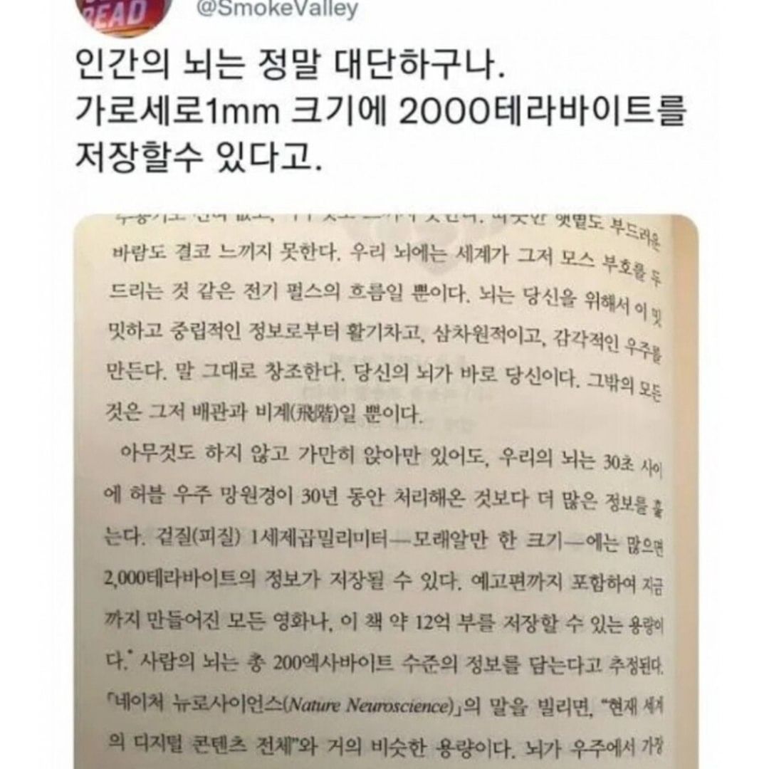 알고 보면 대단한 뇌의 능력