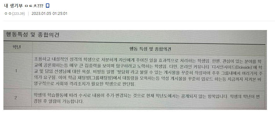 어떤 디씨인의 미쳐버린 생기부...