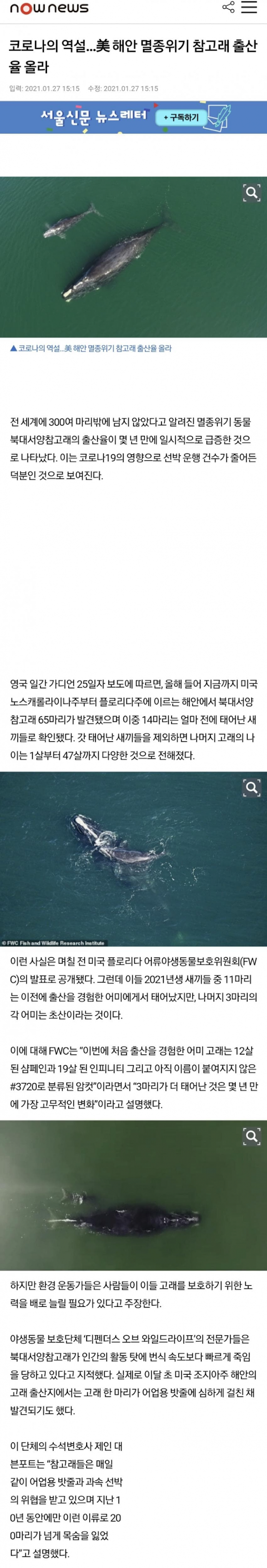 인간 빼고 지구의 모든 생명체가 행복