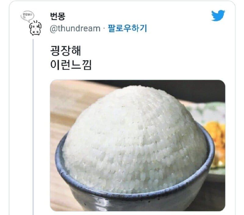 트위터에 난리난 한 미용사