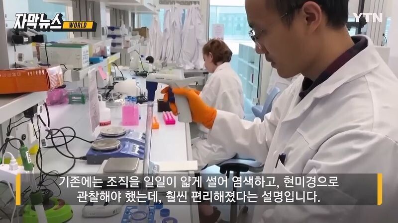 특수 용액에 넣었던 쥐가 투명해진 이유